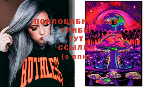 винт Алзамай