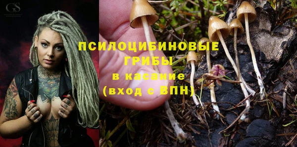 таблы Протвино